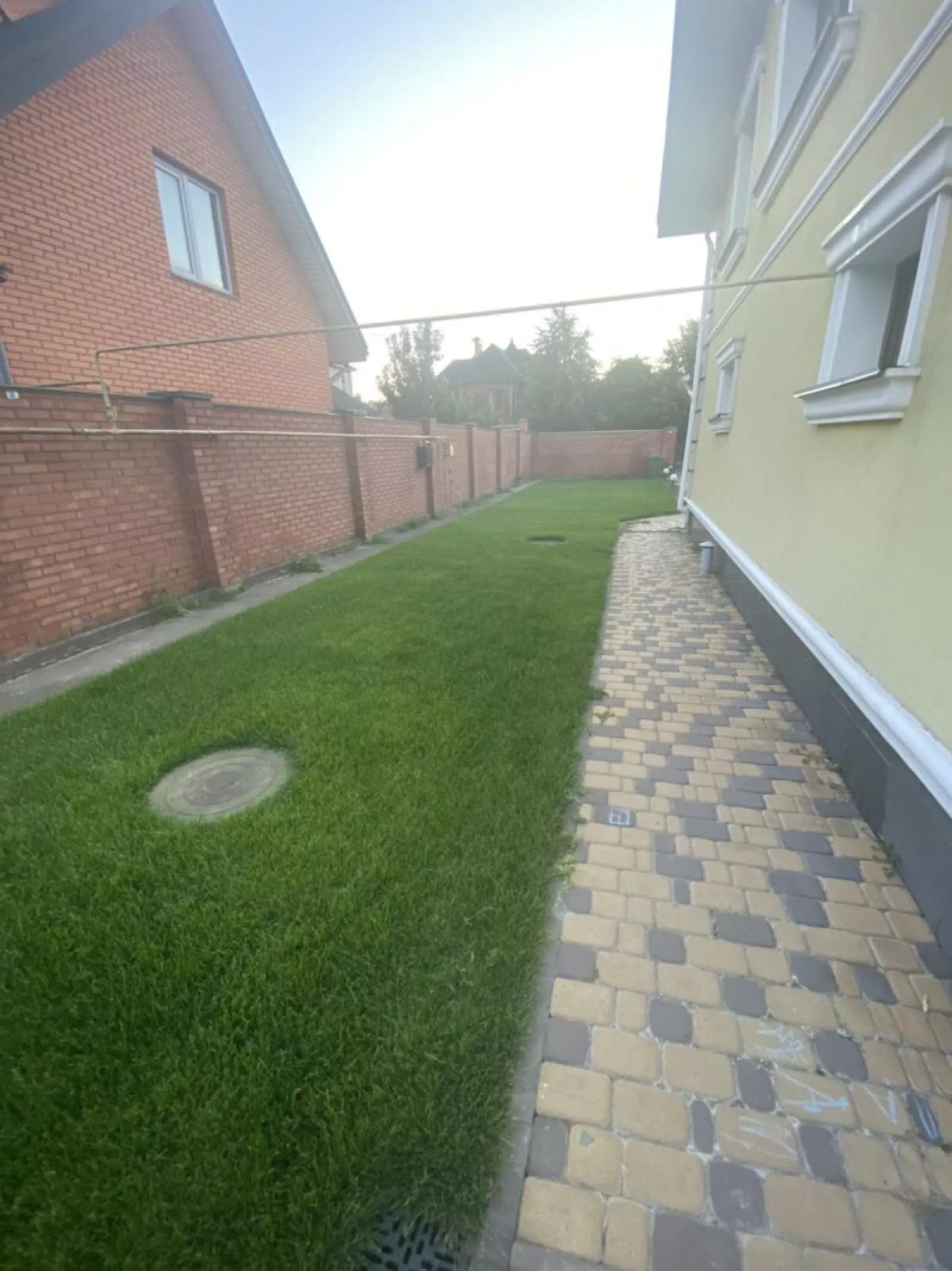 Посадка деревьев — фото 6